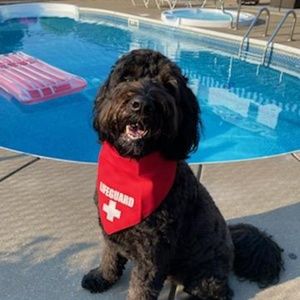 Meet your Posher, Bruce